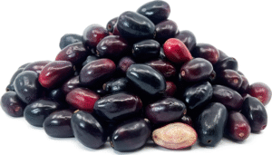 Jamun 1kg Pakistani 🇵🇰