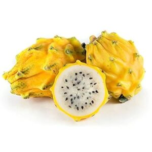 Yellow Dragon Fruit(650gm to 750gm Thailand)🇹🇭