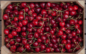 Cherry 1kg box Spain 🇪🇸