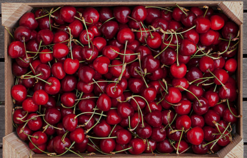 991C64C8-D9F1-494A-9ECF-061EB1C3C9F2.jpg 991C64C8-D9F1-494A-9ECF-061EB1C3C9F2.jpg