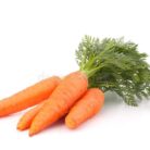 Carrot_Vegetable_with_Leaves_Stock_Photo_-_Image_of_long_food__33309046