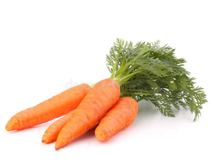 Carrot_Vegetable_with_Leaves_Stock_Photo_-_Image_of_long_food__33309046