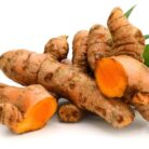 Curcuma_-_Grands-Meres