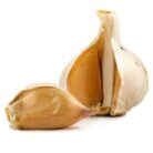 Elephant_Garlic