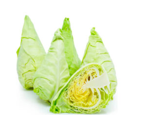 Cabbage Sprin(1piece/Kg Netherlands)🇳🇱