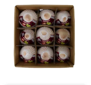 Coconut tender box 9 pices Vietnam 🇻🇳