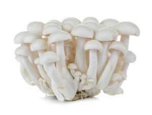 Mushroom Shimeji White(150gm/pack China)🇨🇳