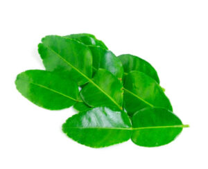 Lime Leaves(Thailand)🇹🇭 Approx 250gm per packet