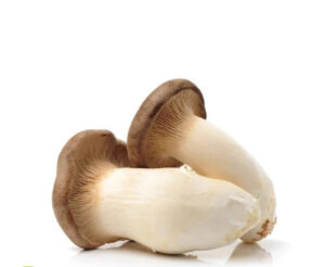 King Oyster Mushroom(150 gm/pack China)🇨🇳