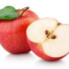 GERMINAR_SEMILLAS_de_MANZANA__Como_hacerlo_y_Cuidados