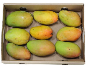 Mango 1 box 2.4 kg Yemen 🇾🇪