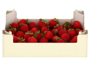 Strawberry Egypt 🇪🇬 box 2.5 kg