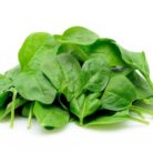 Young spinach leaves in isolated white background