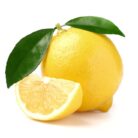 Pomona_Sweet_Semi-Dwarf_Lemon_Tree