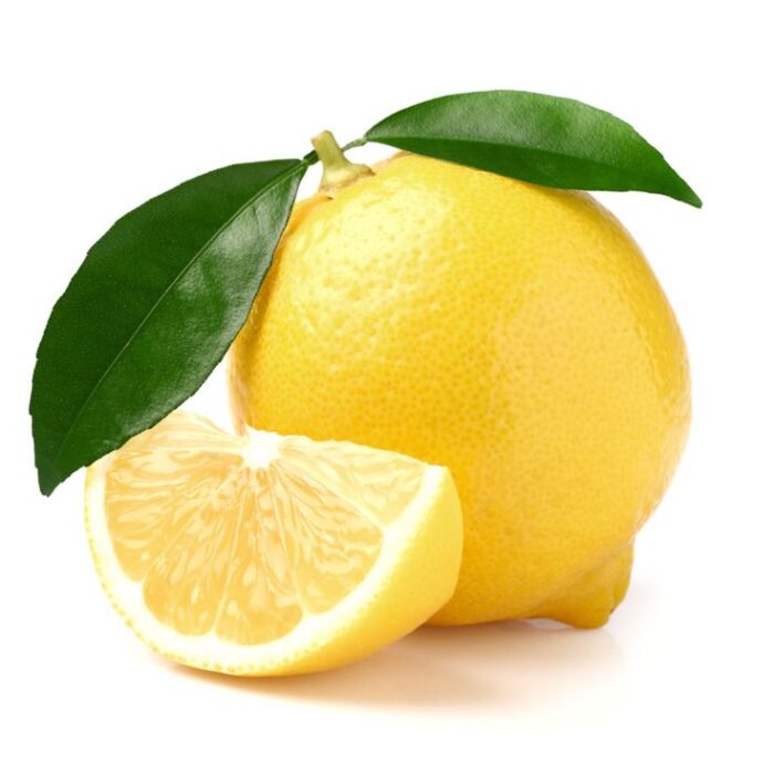 Pomona_Sweet_Semi-Dwarf_Lemon_Tree