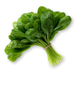 Spinach (Palak) 250-350 UAE 🇦🇪