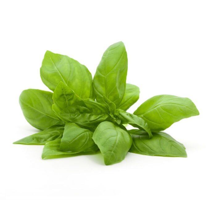 basil-sweet-thai-1pkt