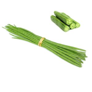 Drumstick Premium 500 india 🇮🇳