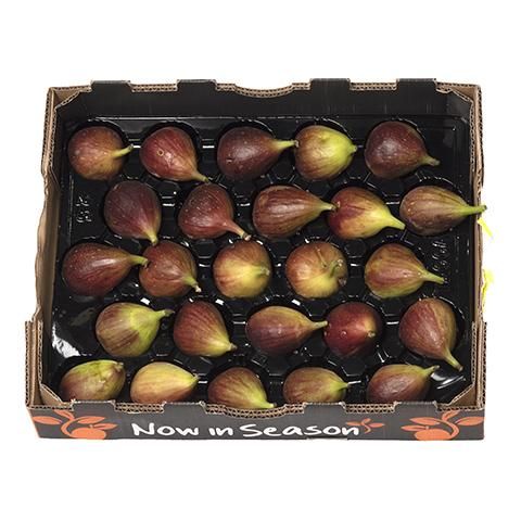 figs-box figs-box