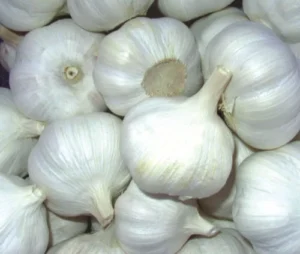 Garlic Organic 250g india 🇮🇳