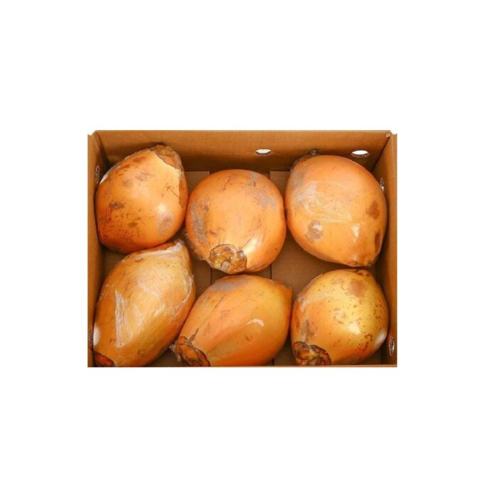 king_coconut_-_copy