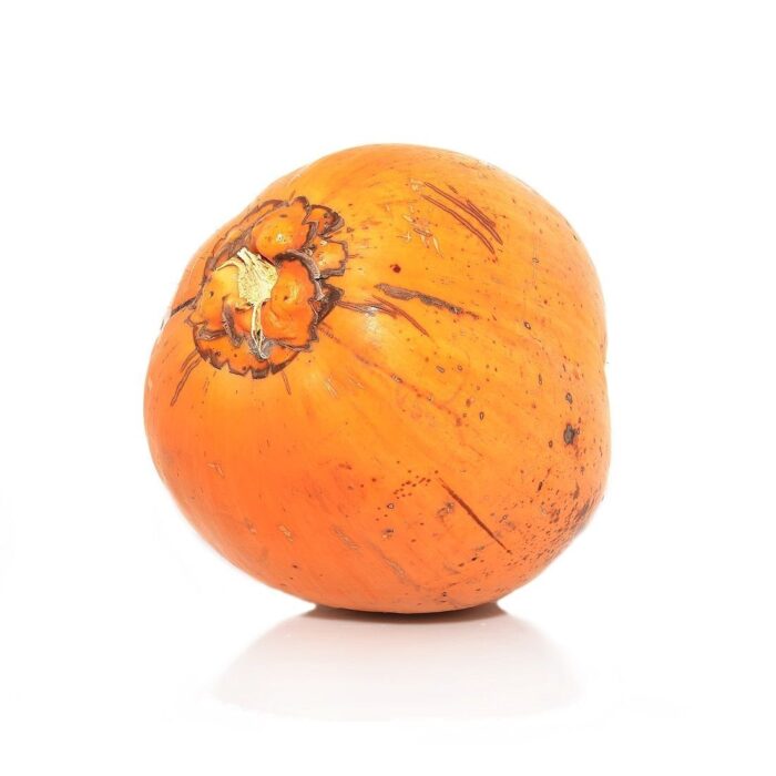 king_coconut_1_05412696-d979-48a1-97d7-50f4ba646076
