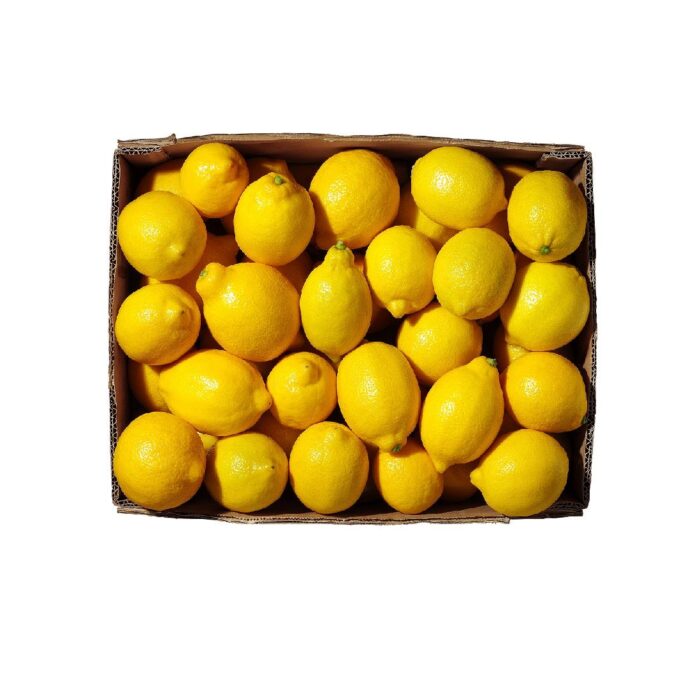 lemon_box