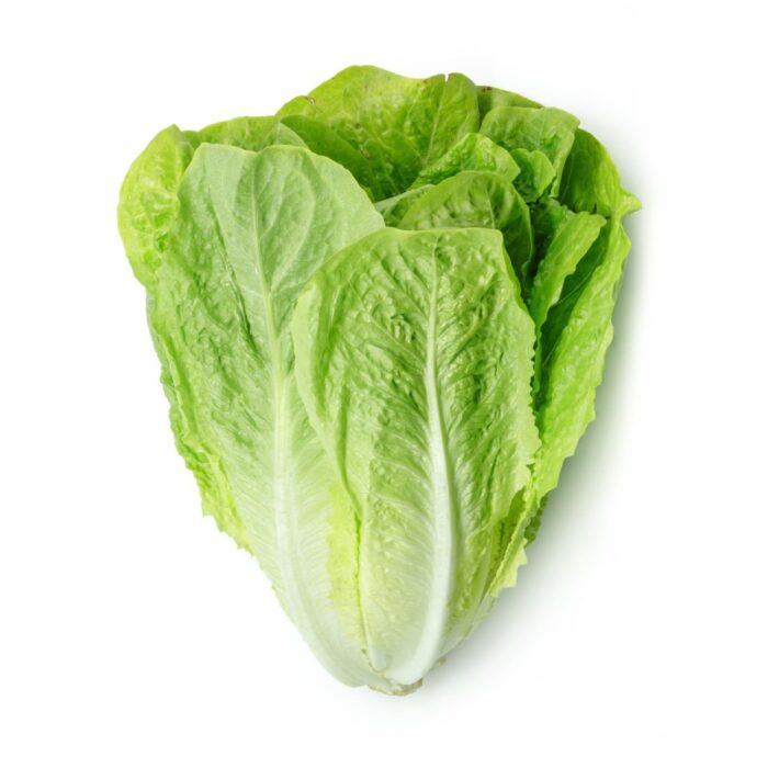 lettuce-romaine-500gms