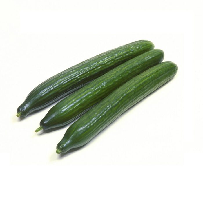 long-cucumber-1100_1