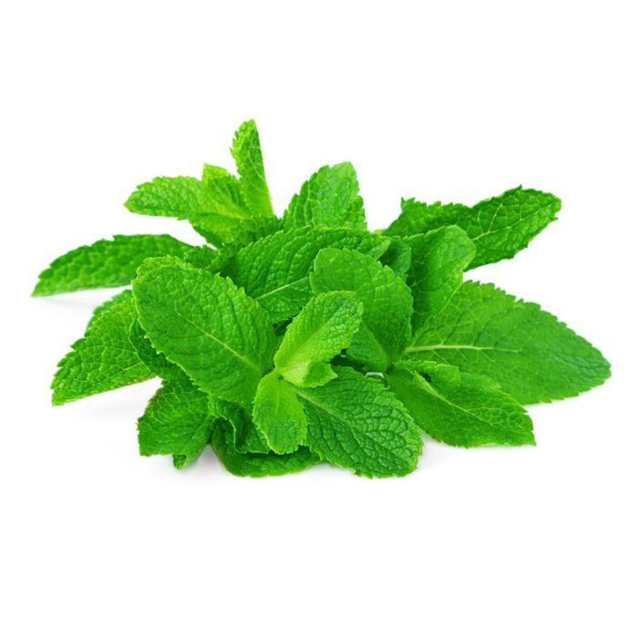 mint-leaves-200gms