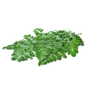 Drumstick Leaves (Moringa Leaves) 100-150g UAE 🇦🇪
