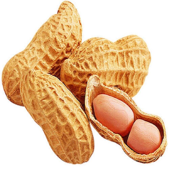 peanut-shell-500x500