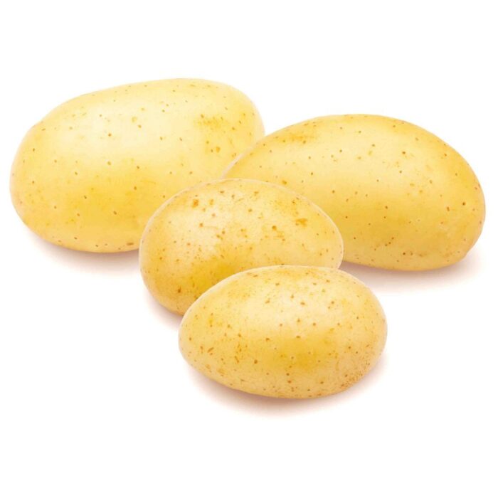 potato-agria-500gms