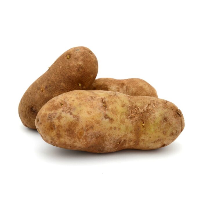 potato-idaho-russet
