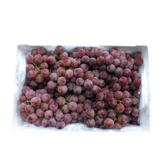 red-grape-globe-1100