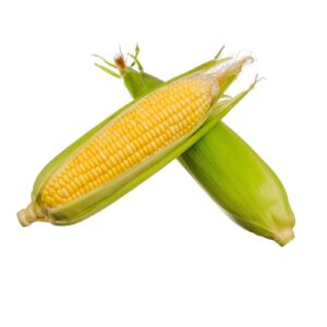 Sweet Corn  550-650g   Size: 1 pack UAE 🇦🇪