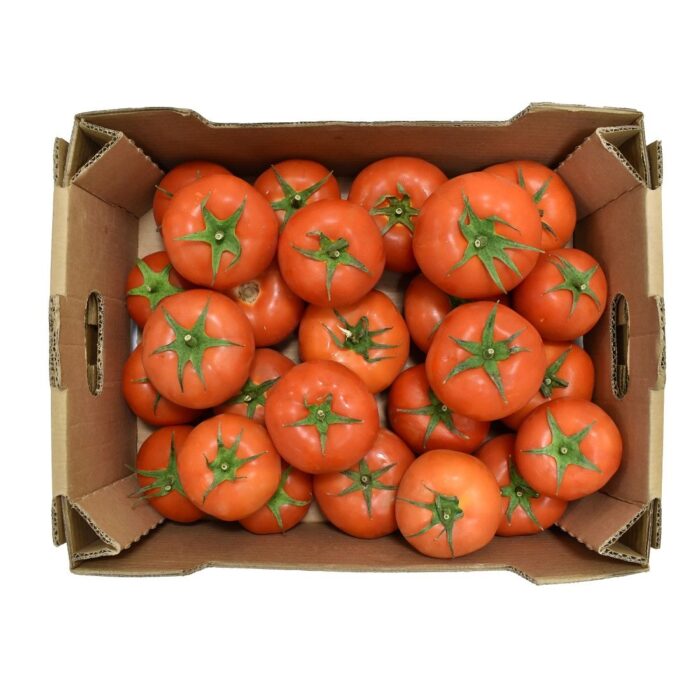 tomato-5kg