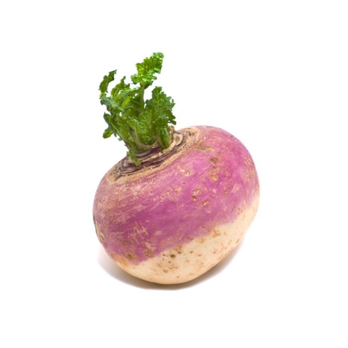 turnips-1piece