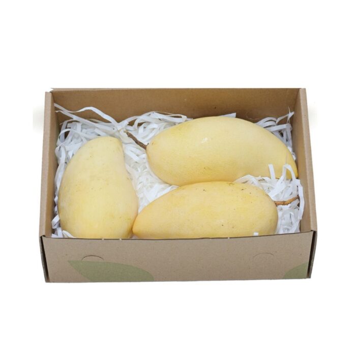 yellow_mango_2_9cb000e0-8697-4eb5-8ea4-e3d67c78695f